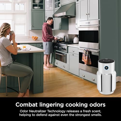 Air Purifier for Home Large Room, HEPA Filter, Covers 650 Sq. Ft, Removes Dust & Allergens P98966