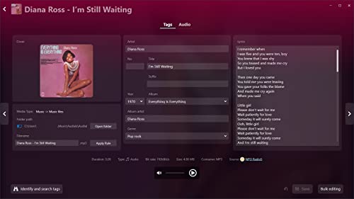 Music Streaming Software [PC Download] U34137