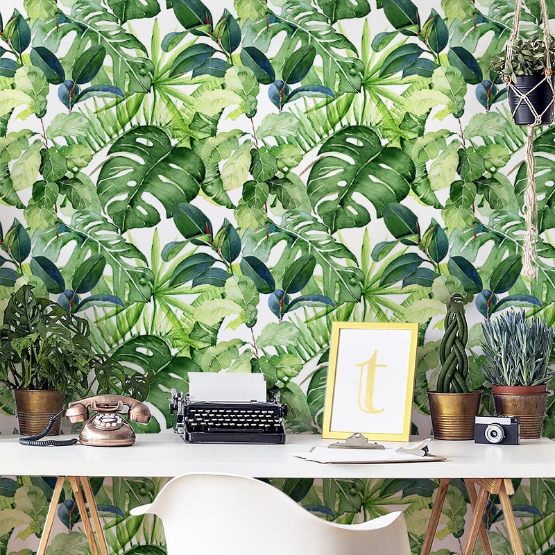 Tropical Palm Leaves Peel and Stick Wallpaper Removable U467702