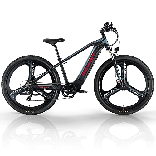 Electric Bike for Adults 29 Inch Fat Tire Mountain Bicycle 500W T253