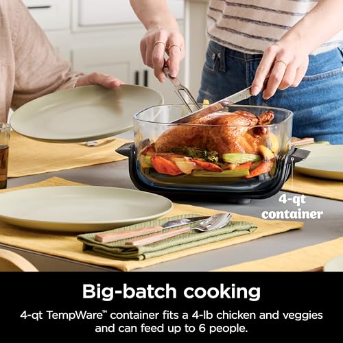 Air Fryer with Glass Containers, 4 QT & 6 Cup, Dishwasher Safe Z1664