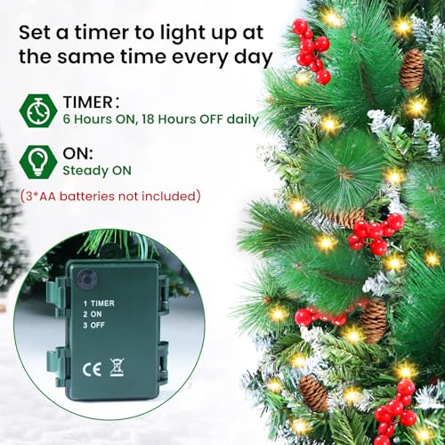 Christmas Garland with Lights, 50 LEDs, 9FT Battery Operated for Indoor Outdoor Decor Y569307