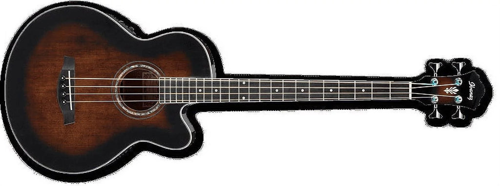Acoustic Electric Bass Guitar U512