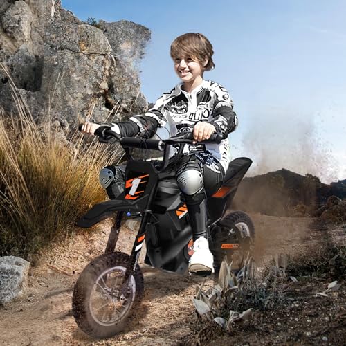Kids Electric Dirt Bike 250W Off-Road Motorcycle A971937