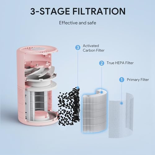 H13 True HEPA Air Purifier for Bedroom, Quiet with Night Light V933