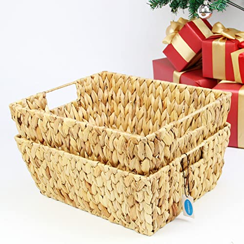 Large Square Hyacinth Storage Baskets with Handles, 2-Pack D852889