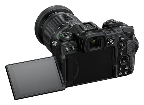 Mirrorless Camera Body T7361