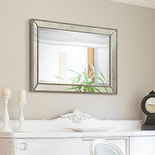 Antique Wall Mirror for Bathroom, Bedroom, Living Room, Ready to Hang, 24" x 54" D519