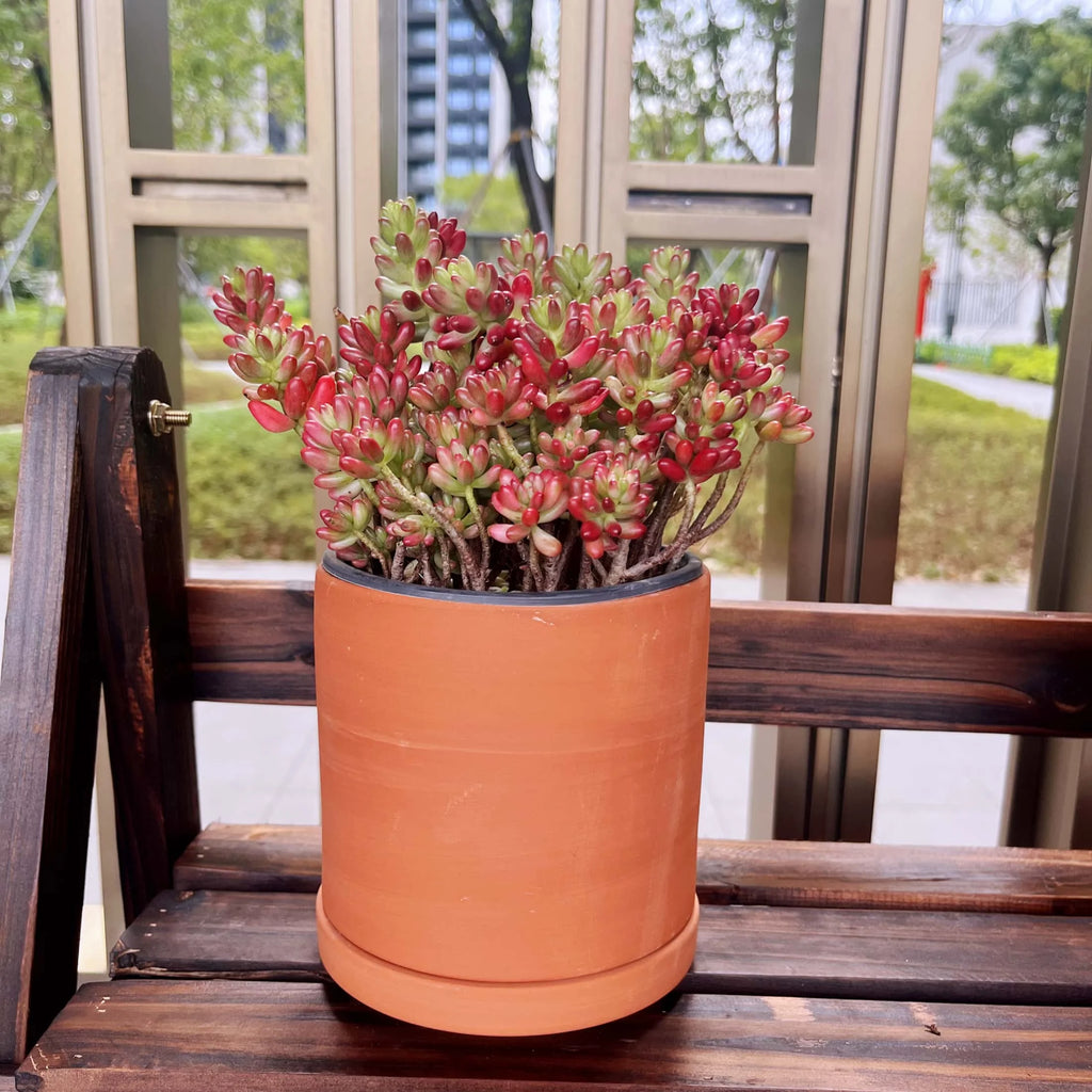 Terracotta Flower Pots with Drainage Holes, 3 Count F4799