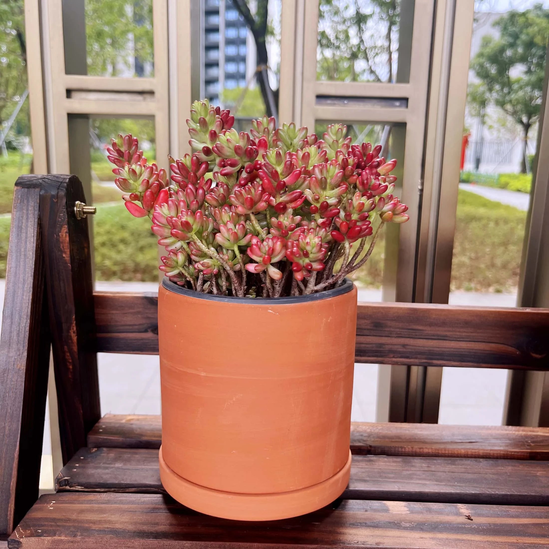 Terracotta Flower Pots with Drainage Holes, 3 Count F4799