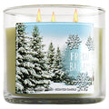 3-Wick Candle, Fresh Balsam M656558