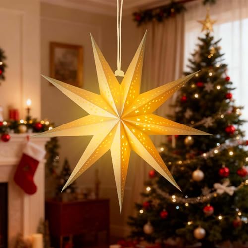 Christmas Paper Snowflake Lanterns with LED Lights for Holiday Party Decor A55544