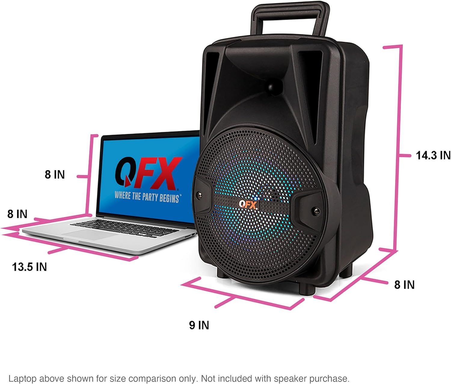 8-Inch TWS Bluetooth Stereo PA System with 2 Microphones and Stands Q381