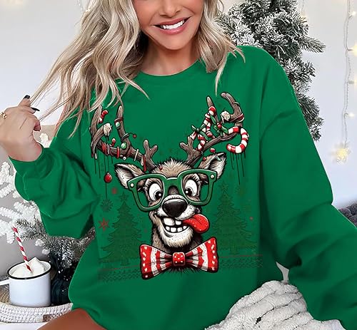 Funny Reindeer Christmas Sweatshirt Oversized Pullover K664011
