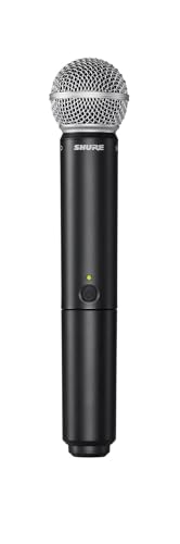 Wireless Microphone System with Dual Handheld Mics Y410