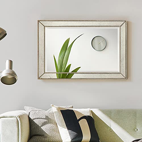 Antique Wall Mirror for Bathroom, Bedroom, Living Room, Ready to Hang, 24" x 54" D519
