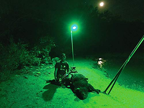 Motion Activated Feeder Light with Remote Control X2863