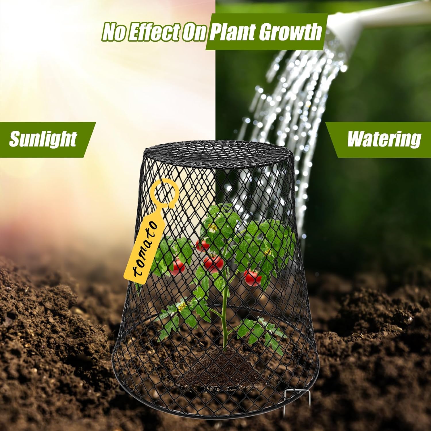Wire Cloche Plant Covers for Garden Protection, 12 Pack K738