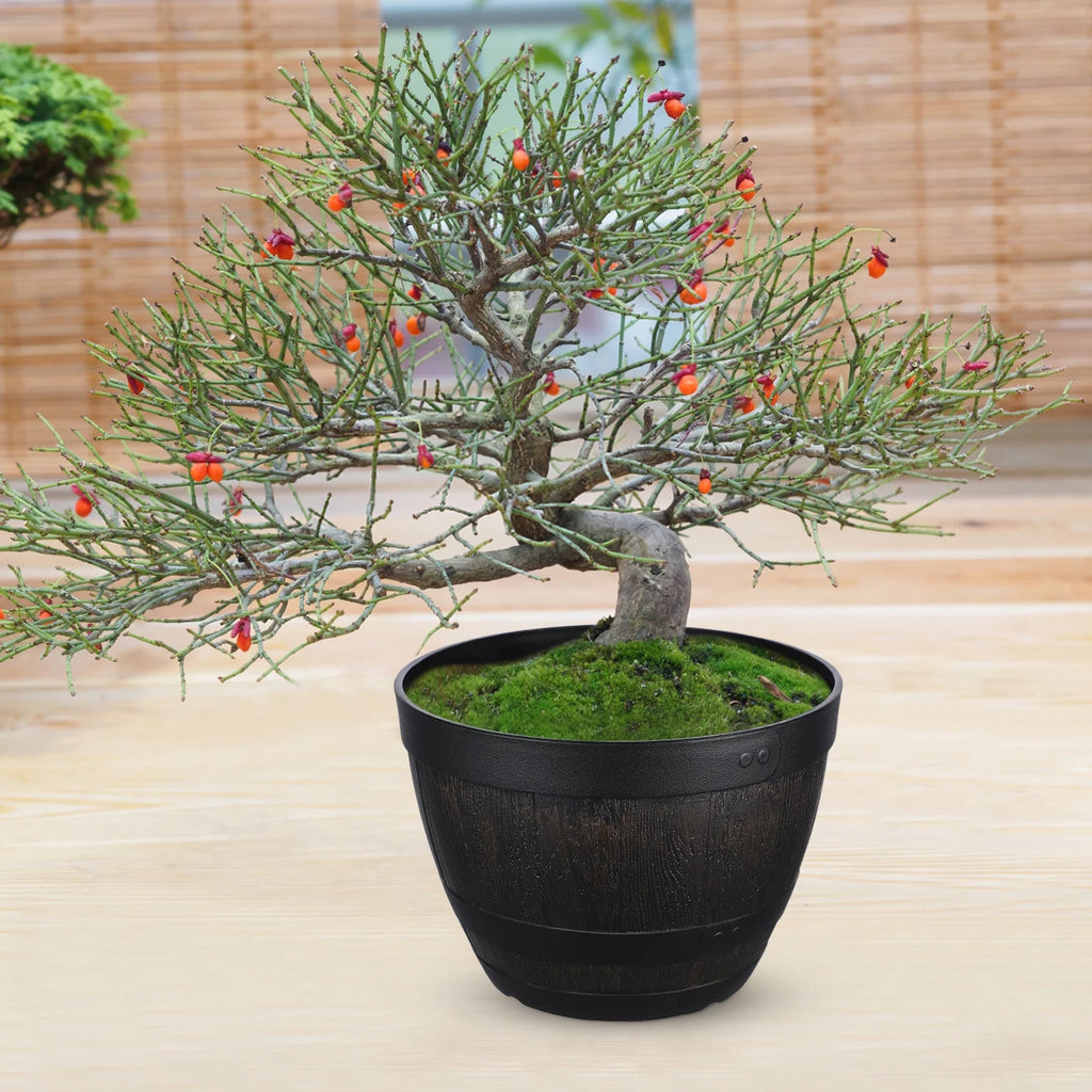 Tall Artificial Plant Pot Indoor No Hole Planter T8333