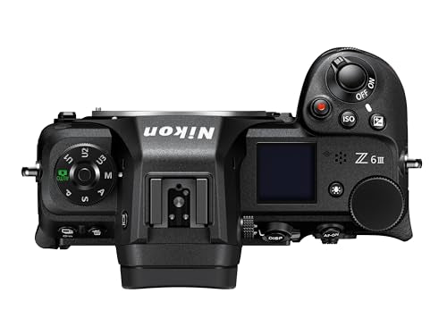 Mirrorless Camera Body T7361