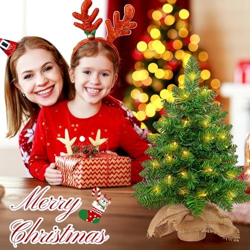 2ft Pre Lit Artificial Mini Christmas Tree with 50 LED Warm Lights F389906