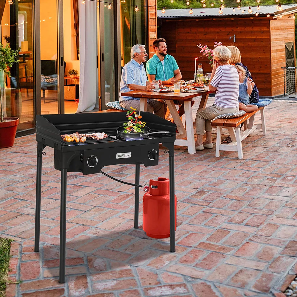 2 Burner Outdoor Propane Gas Stove with Windpanel, Carrying Bag & Regulator B313435