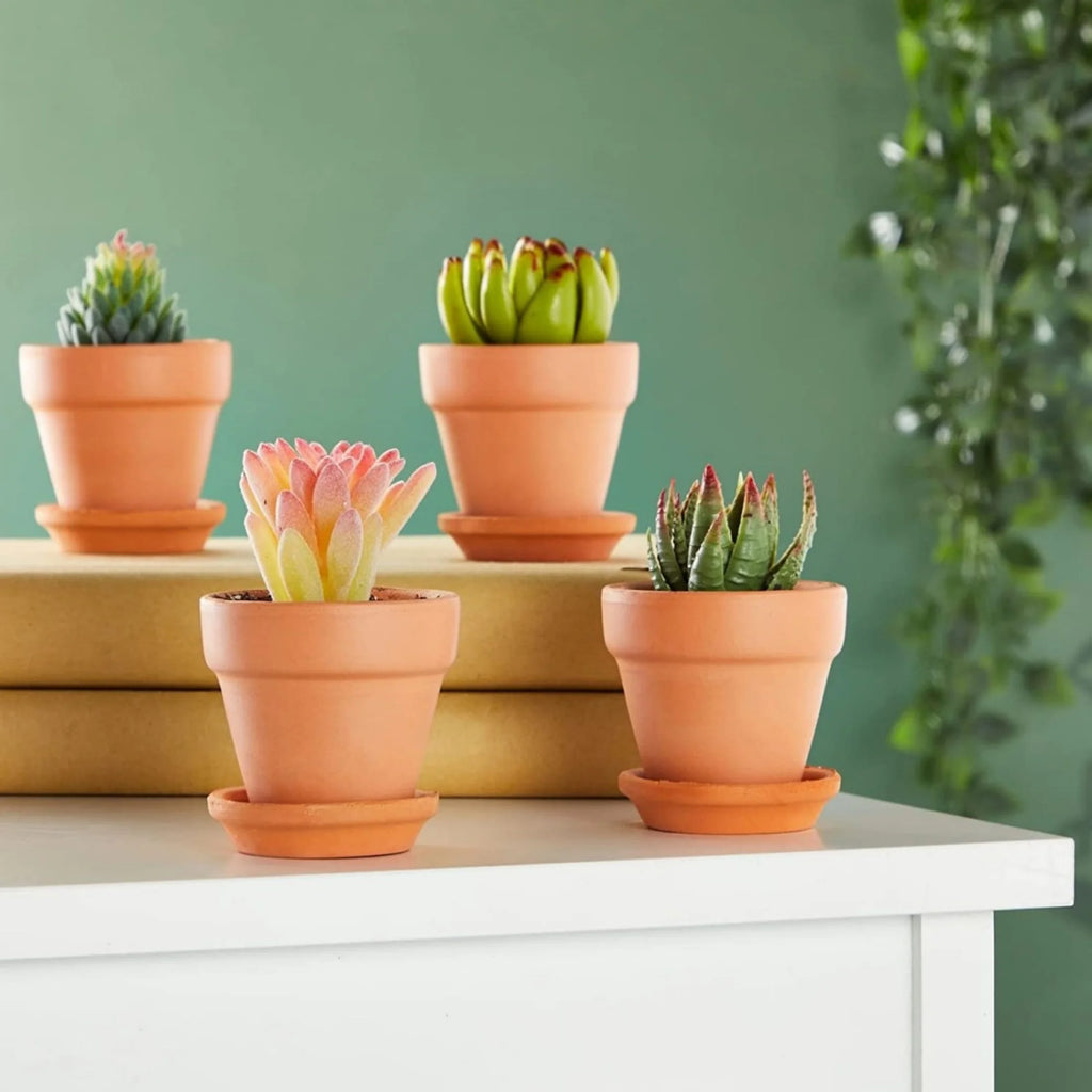 3 Inch Terracotta Pots with Saucer, 4 Pack for Succulent Display F4914