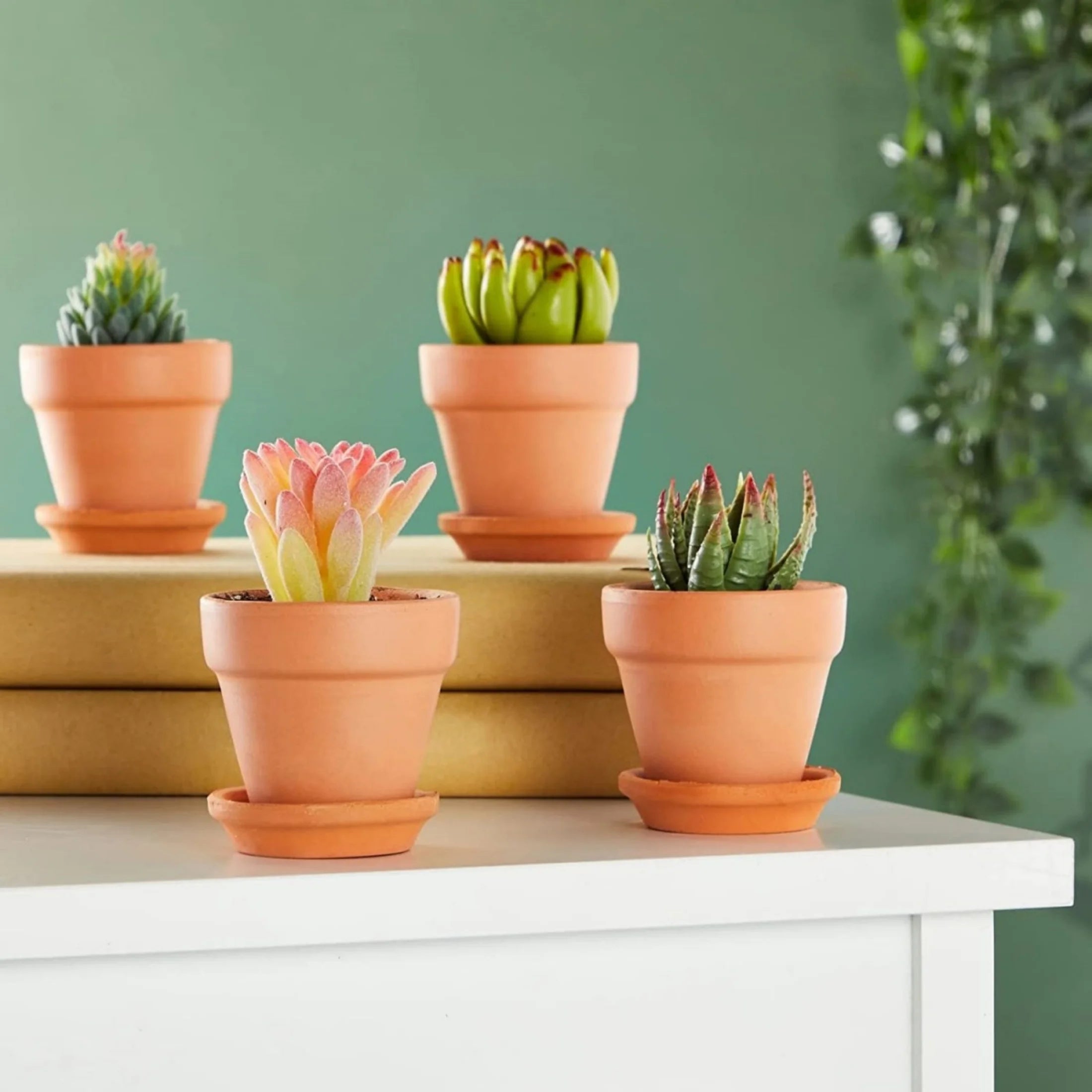 3 Inch Terracotta Pots with Saucer, 4 Pack for Succulent Display F4914