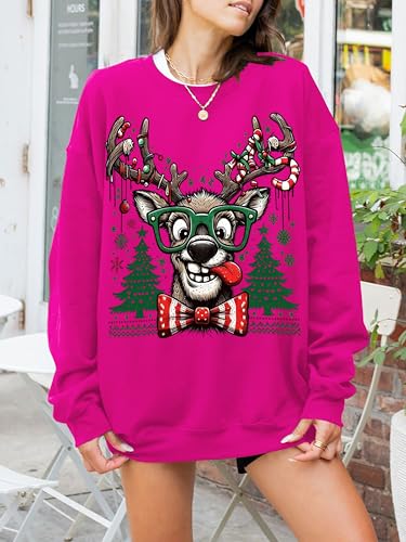 Funny Reindeer Christmas Sweatshirt Oversized Pullover K664011