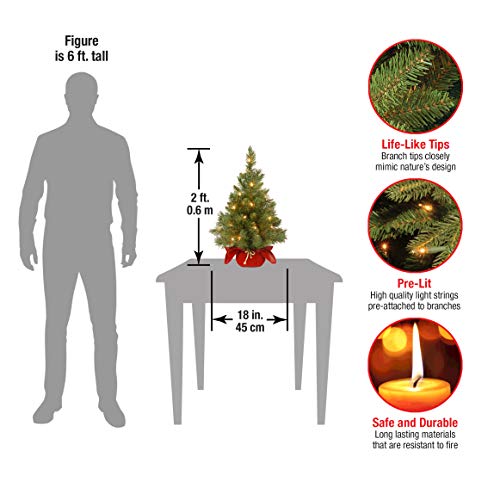 24 in Pre-Lit Mini Artificial Christmas Tree with 35 Clear Lights R420697