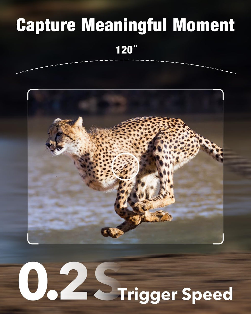Solar Powered 4G LTE Cellular Trail Camera with App Control P344