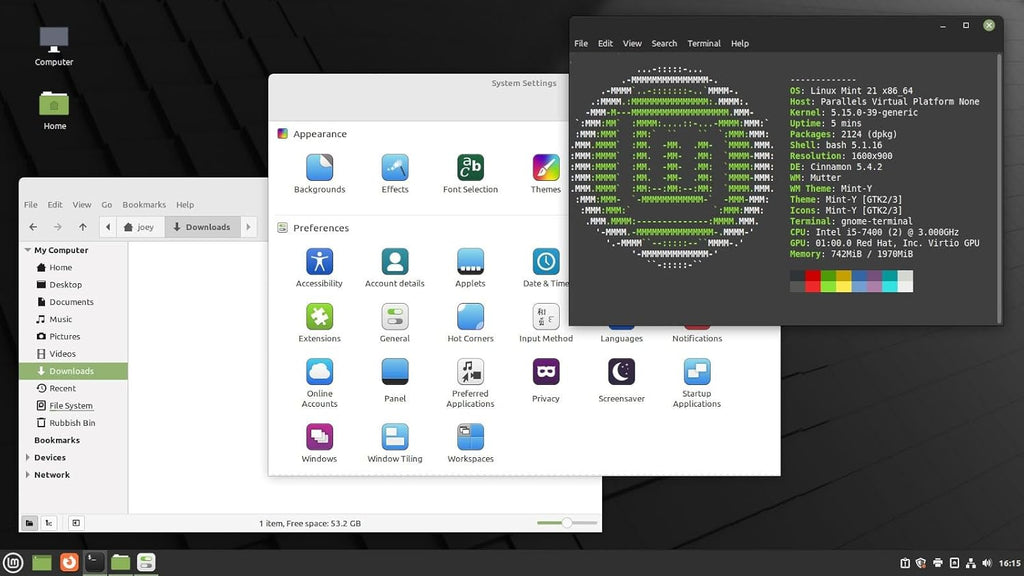 Linux Mint 21 Cinnamon USB 64bit D83937