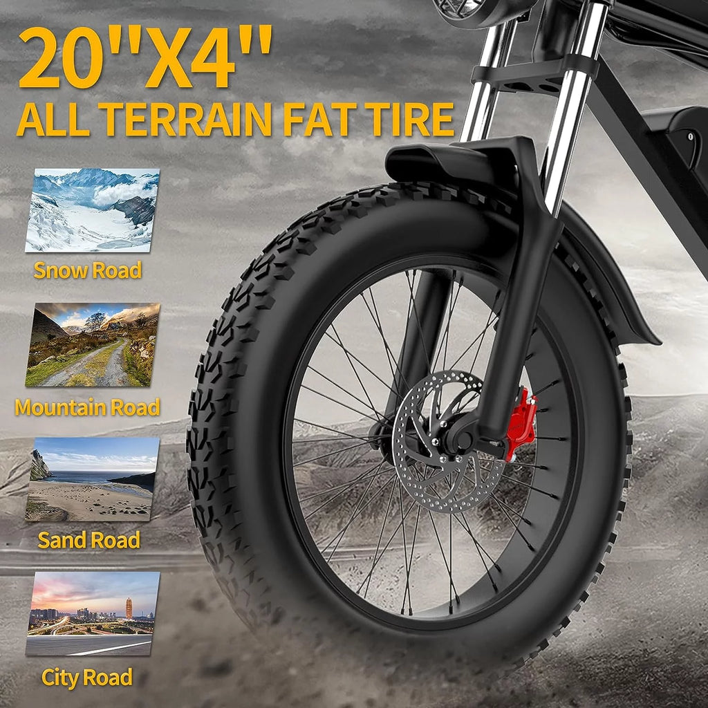 20" Fat Tire Electric Bike 1000W with Removable Battery J494