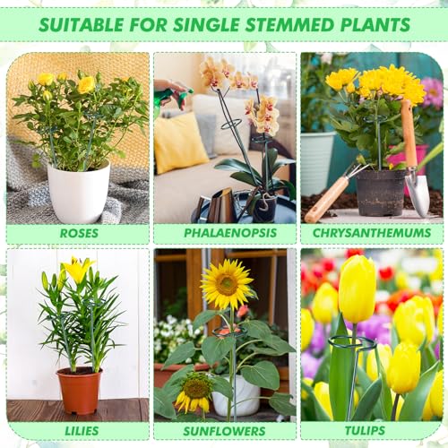 Plant Support Stakes for Flowers, 24 Inch M101005