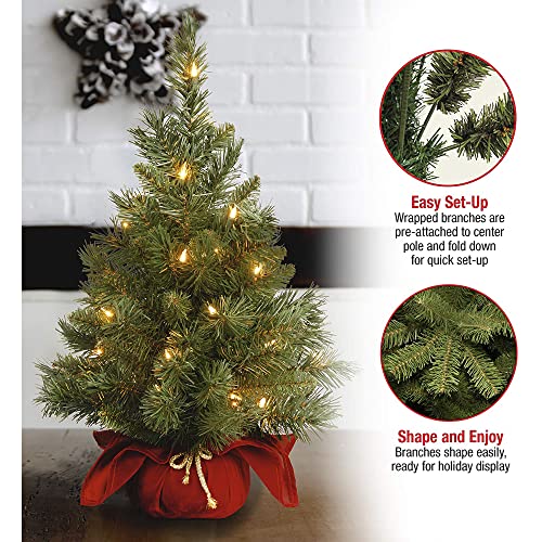 24 in Pre-Lit Mini Artificial Christmas Tree with 35 Clear Lights R420697