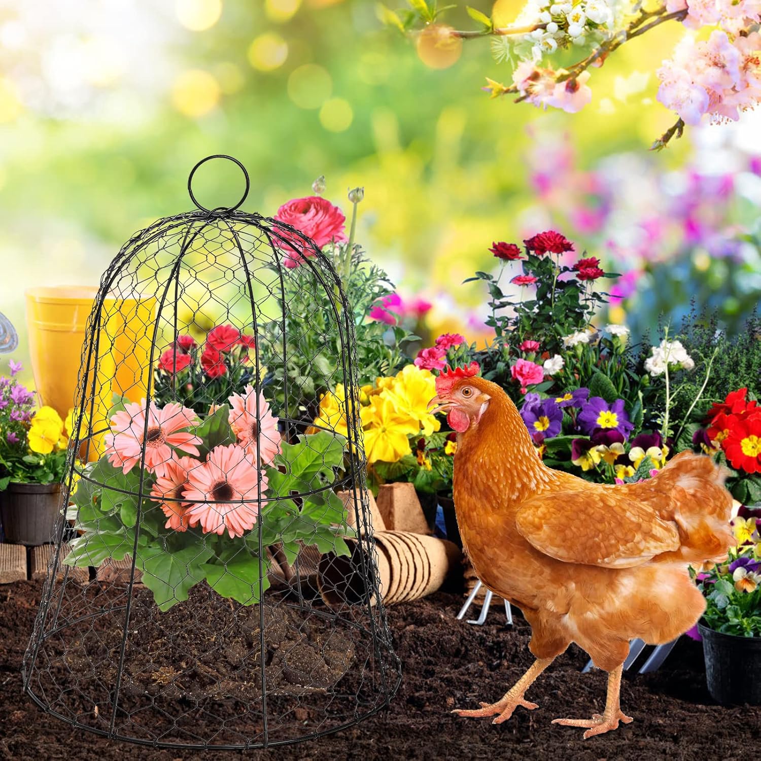 Garden Chicken Wire Cloche 16x13 Inches Black Dome Plant Protector G88980