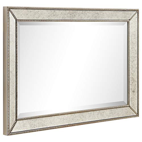 Antique Wall Mirror for Bathroom, Bedroom, Living Room, Ready to Hang, 24" x 54" D519