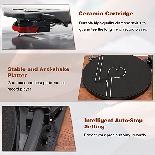 Record Player Turntable with Built-in Speakers and USB Playback R9973