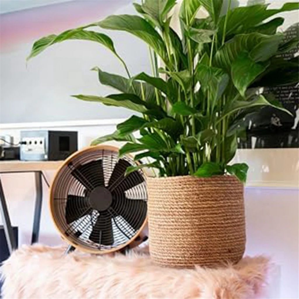 Woven Seagrass Plant Pot with Plastic Insert C98260
