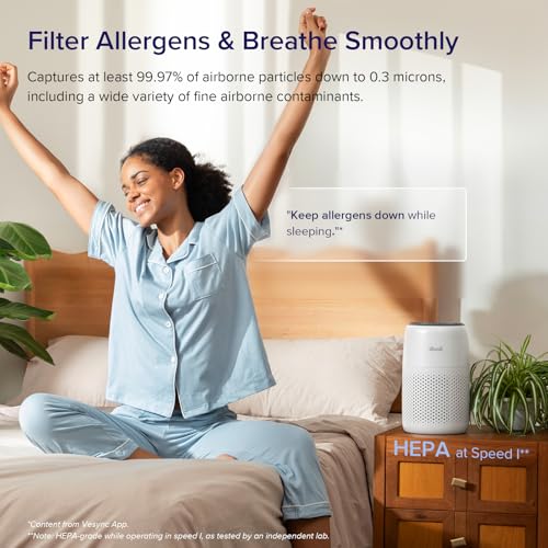 Air Purifier for Bedroom Home, 3-in-1 Filter Cleaner with Fragrance Sponge, Filters Smoke, Allergies, Pet Dander, Odor, Dust, Portable T545