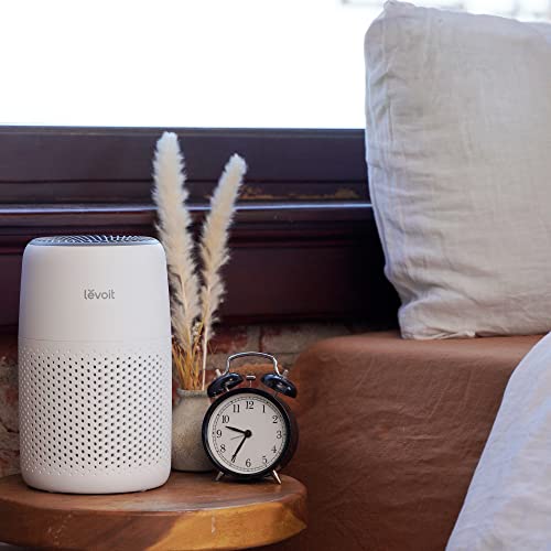 Air Purifier for Bedroom Home, 3-in-1 Filter Cleaner with Fragrance Sponge, Filters Smoke, Allergies, Pet Dander, Odor, Dust, Portable T545