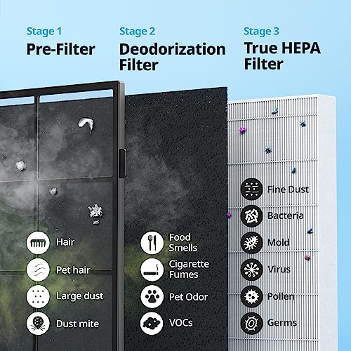 True HEPA Air Purifier with Air Quality Monitoring and Auto Mode R22121