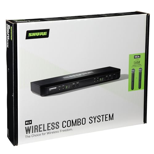 Wireless Microphone System with Dual Handheld Mics Y410