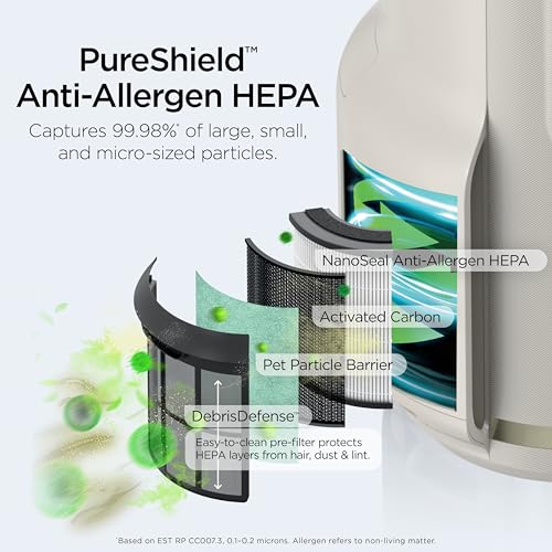 Air Purifier for Home Large Room, HEPA Filter, Covers 650 Sq. Ft, Removes Dust & Allergens P98966