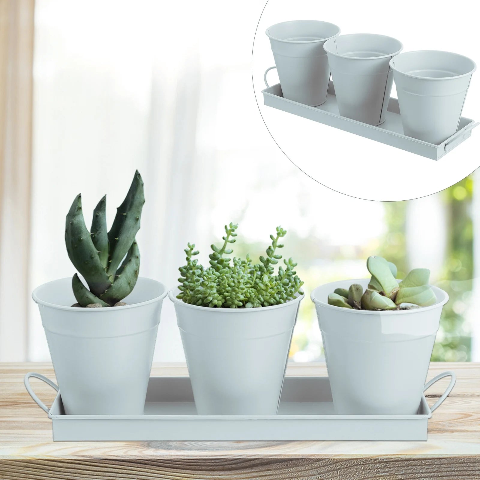 Garden Flower Pot with Tray, 6 Pack V65717