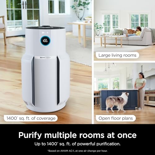 Air Purifier for Home Large Room, HEPA Filter, Covers 650 Sq. Ft, Removes Dust & Allergens P98966