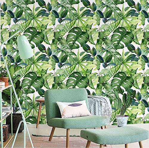 Tropical Palm Leaves Peel and Stick Wallpaper Removable U467702