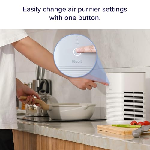 Air Purifier for Bedroom Home, 3-in-1 Filter Cleaner with Fragrance Sponge, Filters Smoke, Allergies, Pet Dander, Odor, Dust, Portable T545