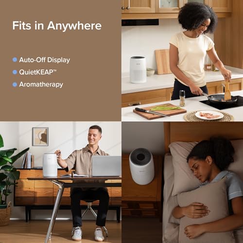Air Purifier for Bedroom Home, 3-in-1 Filter Cleaner with Fragrance Sponge, Filters Smoke, Allergies, Pet Dander, Odor, Dust, Portable T545