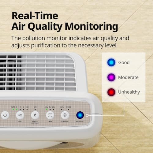 True HEPA Air Purifier with Air Quality Monitoring and Auto Mode R22121